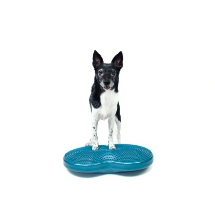 FitPaws Duo Disc kutya egyensúlyfejlesztő eszköz instabil felülettel, sárga és kék színben, mérete: 61 cm x 33 cm x 7,6 cm.