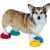 FitPAWS Paw Pods 4 darabos egyensúlyfejlesztő készlet kutyáknak, vegyes színekben, neuralis stimuláció és motoros készségek fejlesztésér