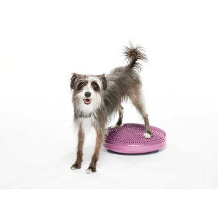 FitPAWS® Balance Disc – Kutyás egyensúlyi edzőeszköz