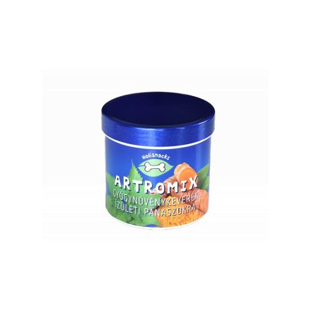 Holisnacks Artromix 100 g, természetes kiegészítő kutyák ízületeinek védelmére