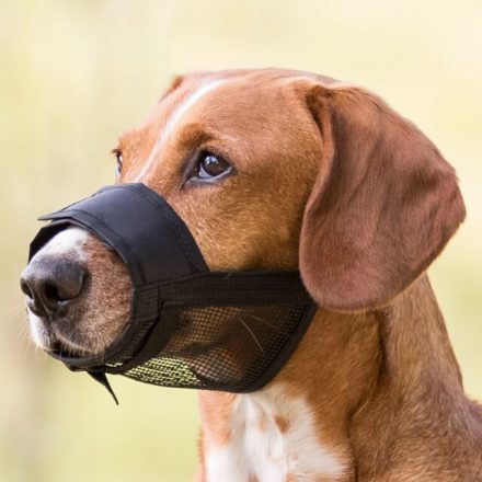 JollyPaw szájkosár hálós betéttel - Kényelmes és légáteresztő megoldás kutyáknak