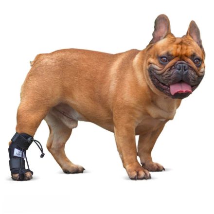 Walkinpets lépéskorrigáló hátsó lábra