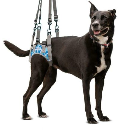 Walkin’ Warrior Rear Harness-  Támogató hám 